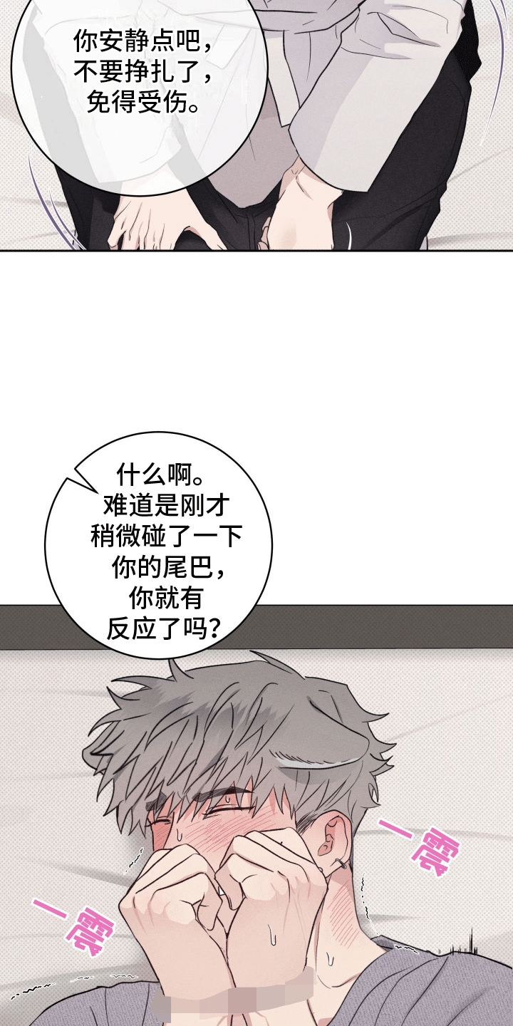 狼人驯服漫画,第6章：检查5图