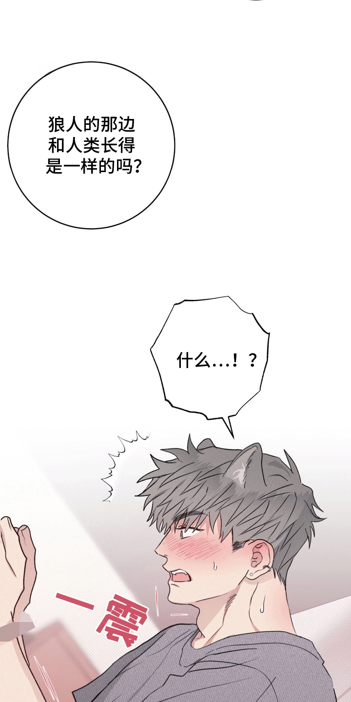 狼人驯服漫画,第6章：检查3图