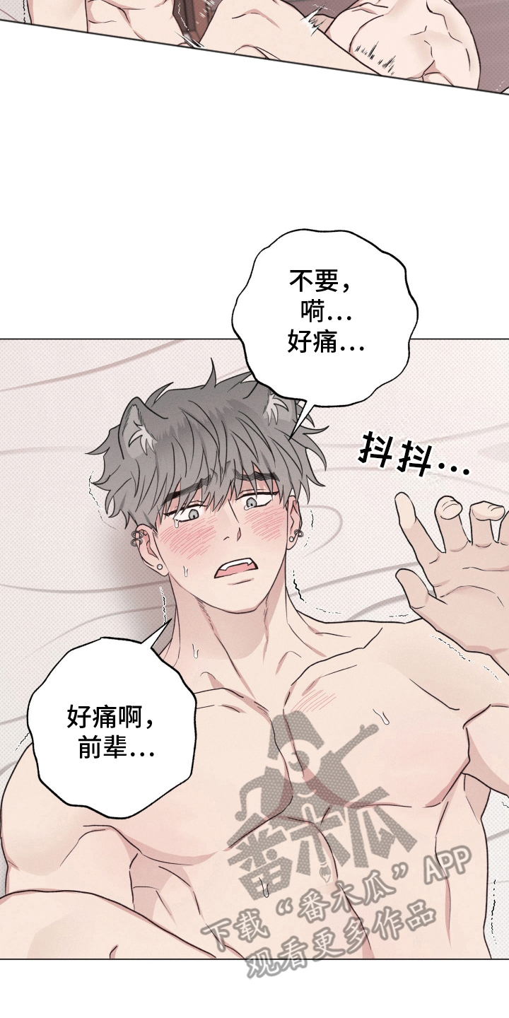狼人杀电影漫画,第7章：代价1图