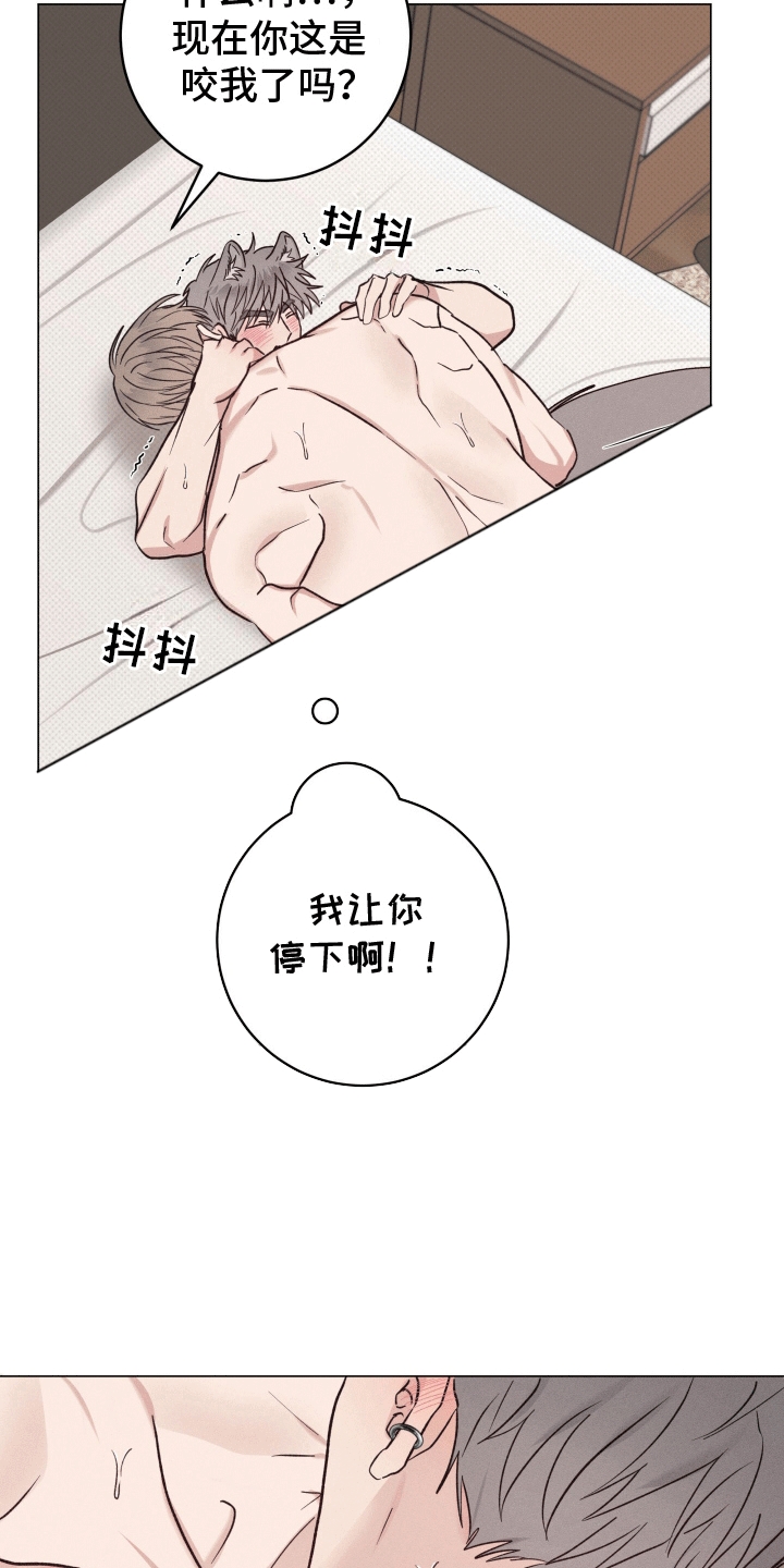 捕猎狼人漫画,第9章：手忙脚乱3图