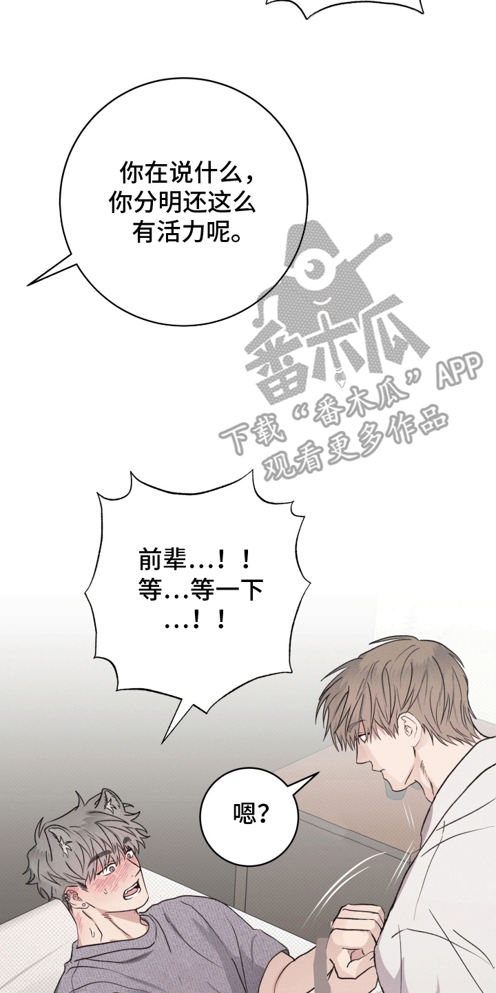 狼人驯服漫画,第7章：代价3图
