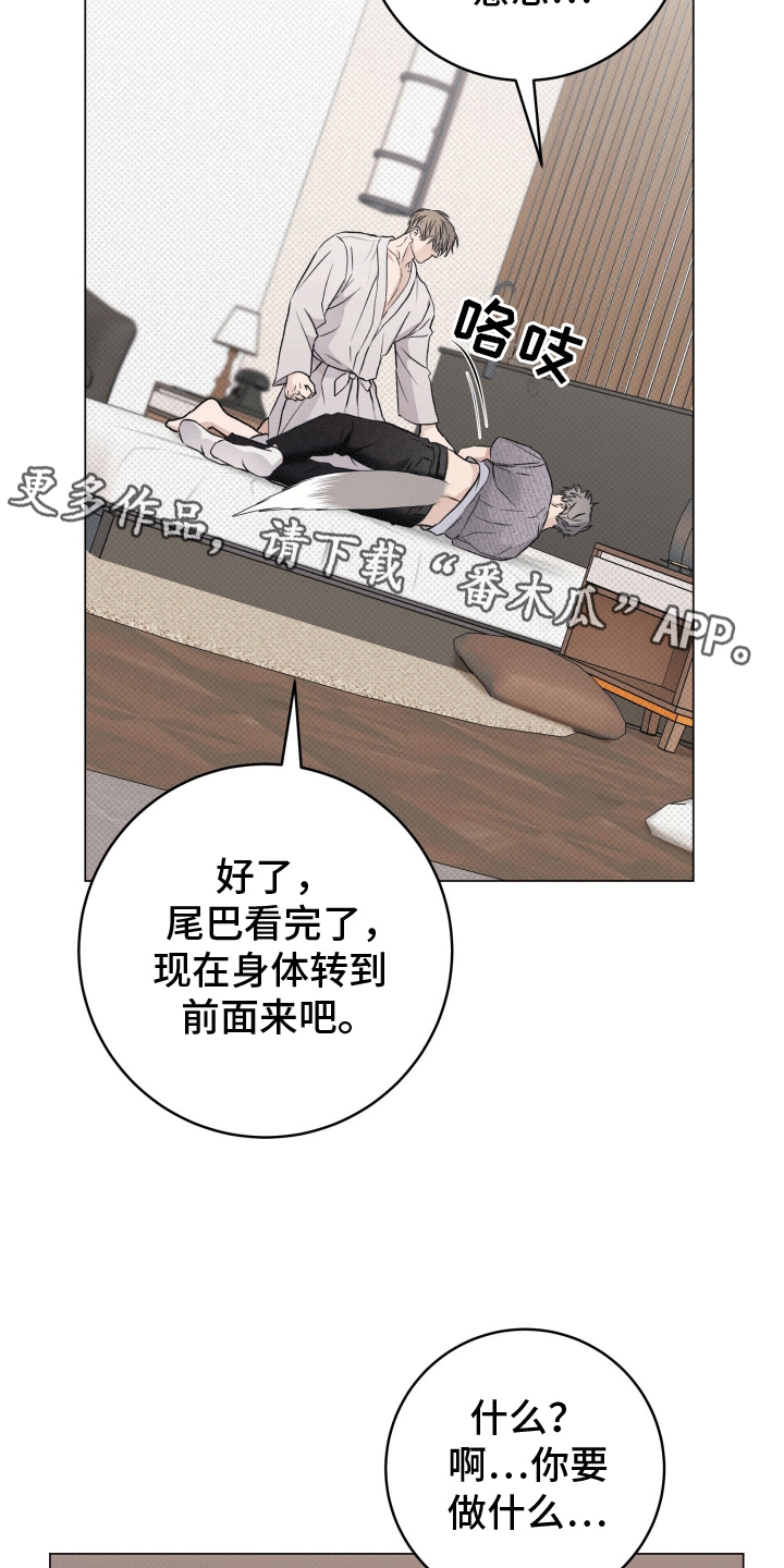 狼人驯服漫画,第6章：检查1图