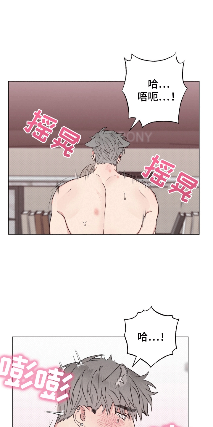 狼人驯服一耽叫什么漫画,第8章：无法承受1图