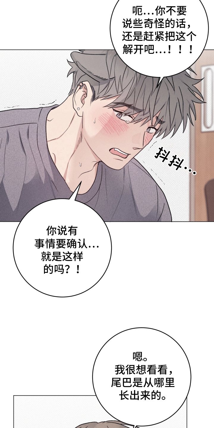 狼人驯服漫画,第6章：检查4图