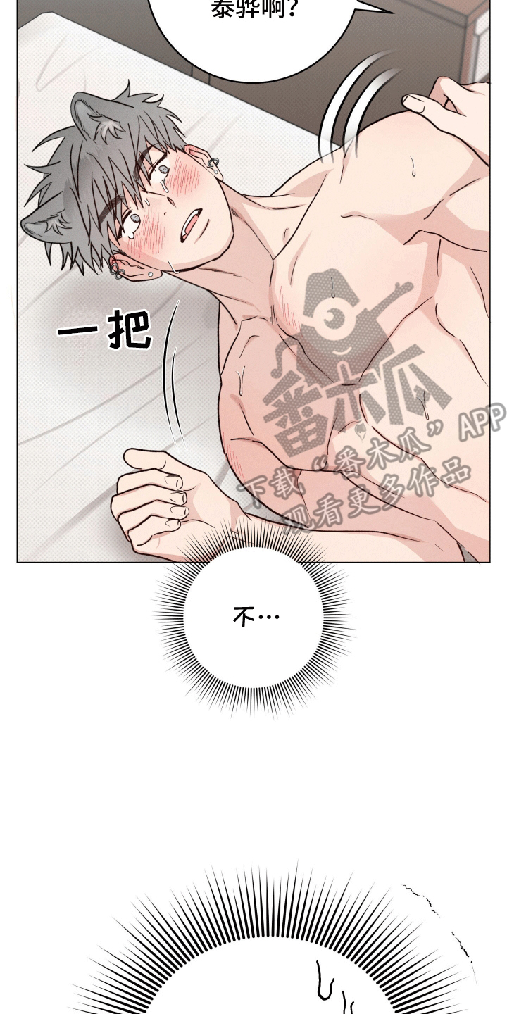 狼人驯服一耽叫什么漫画,第8章：无法承受4图