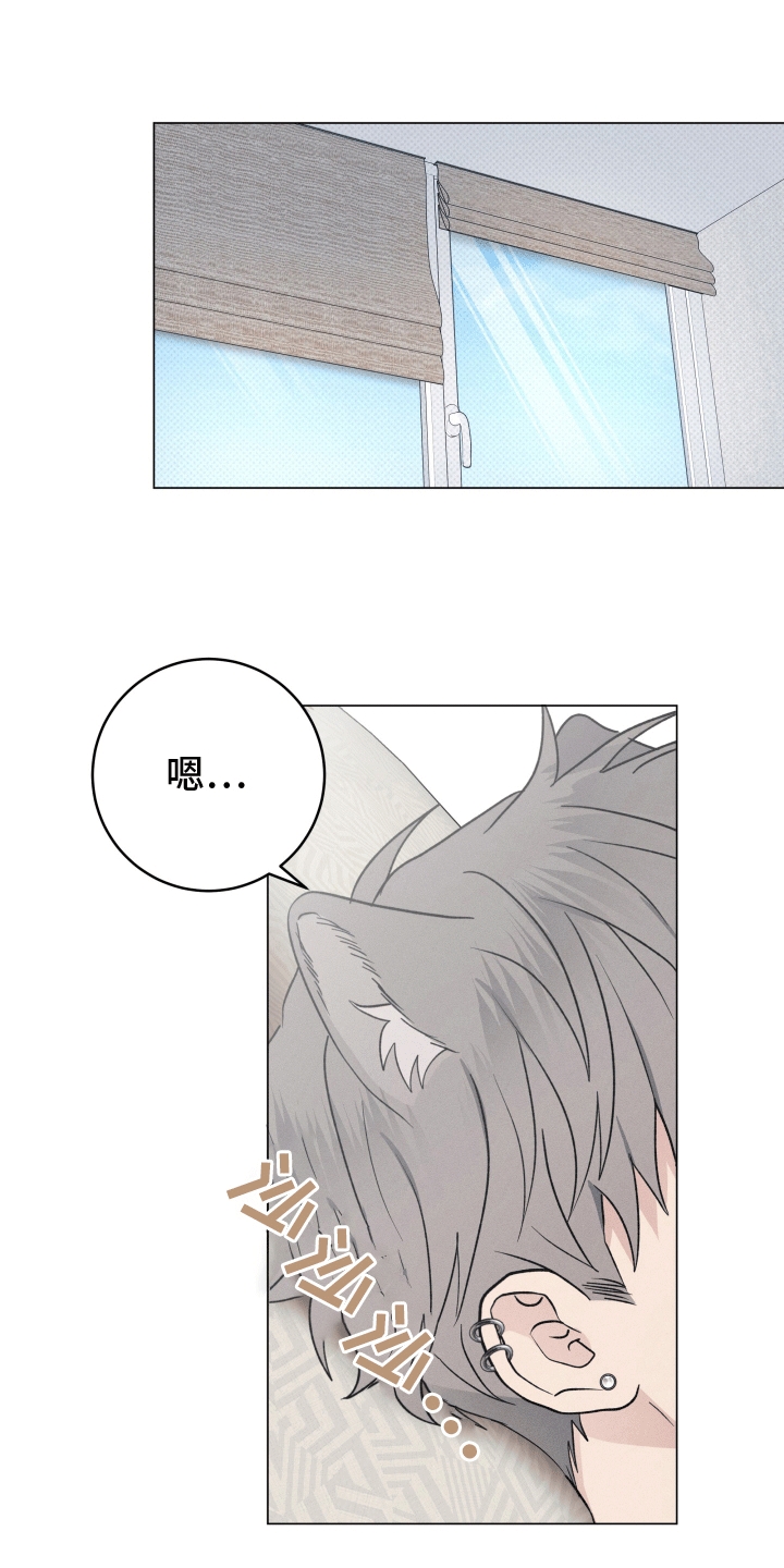 狼人驯服漫画,第16章：休学1图