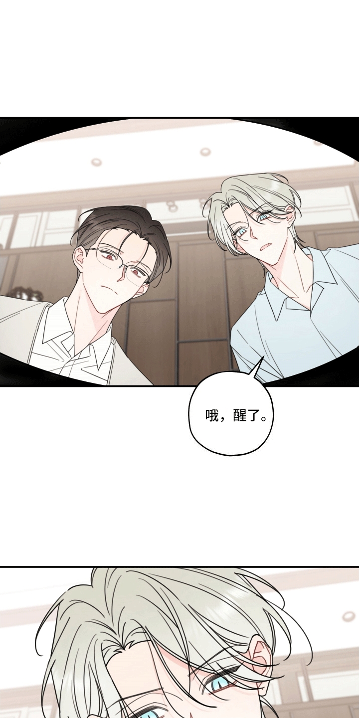 被强行契约之后漫画大结局漫画,第8章：伴侣2图