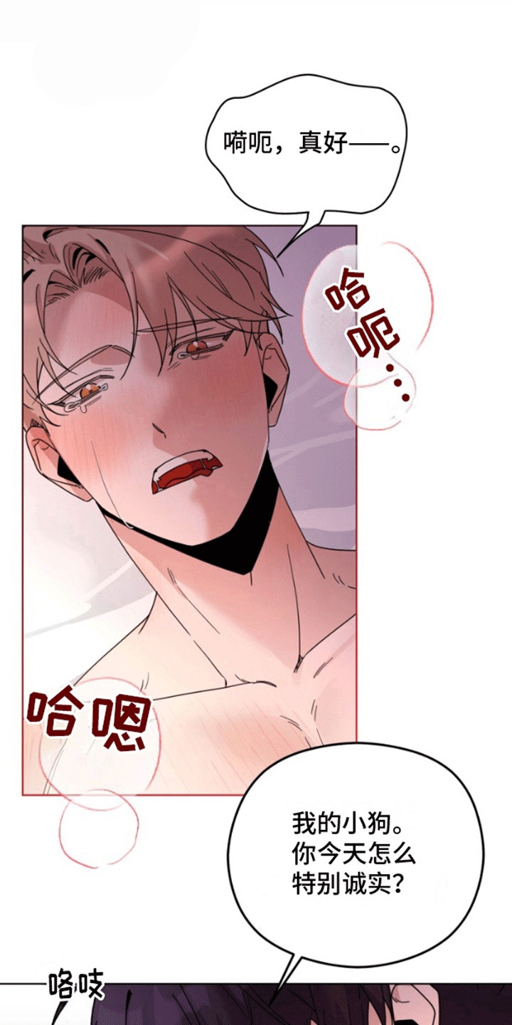 被大灰狼盯上漫画,第11章：妥协5图