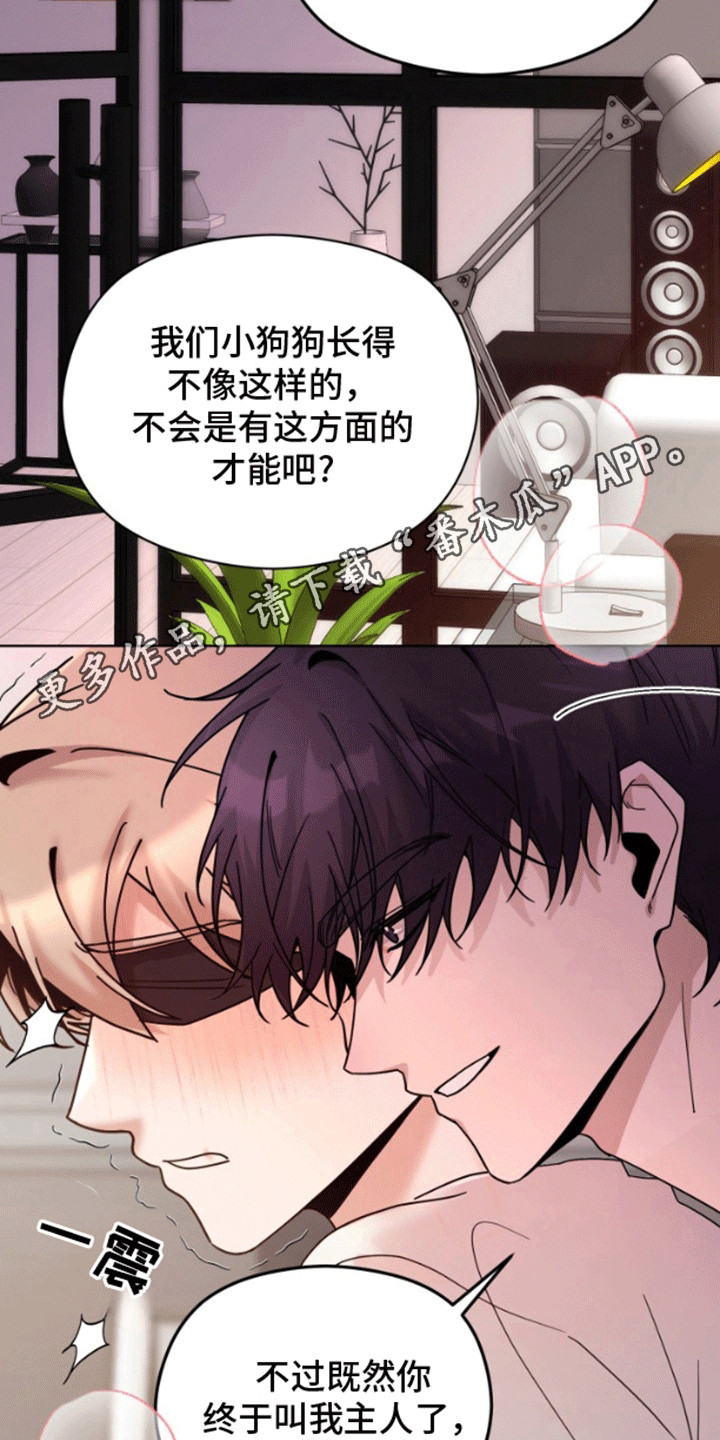 被大灰狼盯上漫画,第10章：游戏开始5图