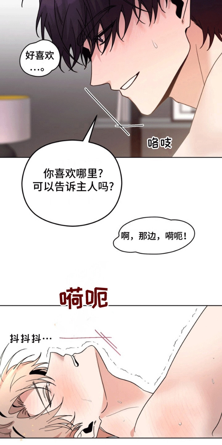 被大灰狼盯上漫画,第11章：妥协1图