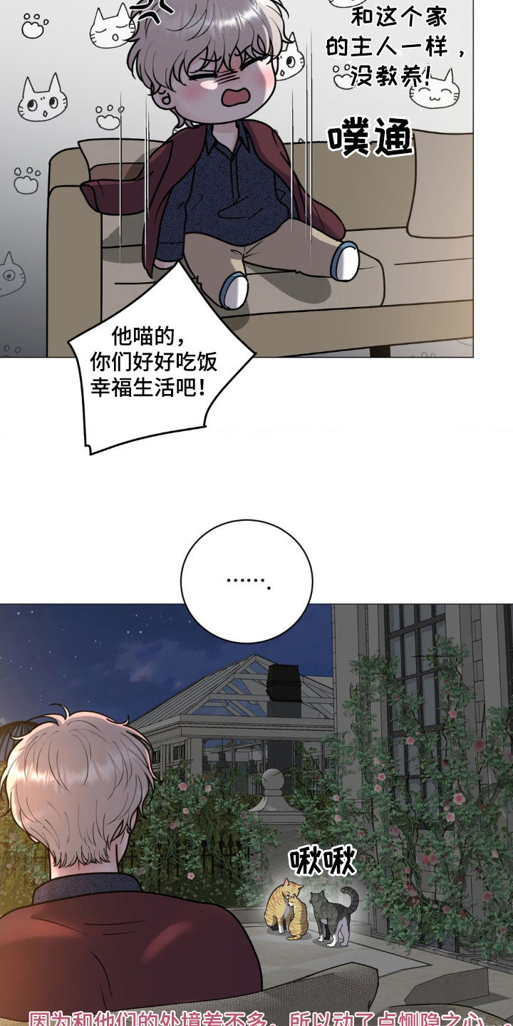 哪些商品属于特殊商品漫画,第21章：恻隐之心3图