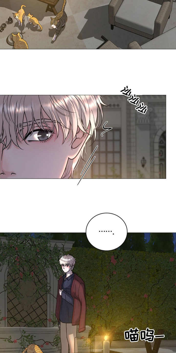 特殊商品漫画全集漫画,第21章：恻隐之心5图