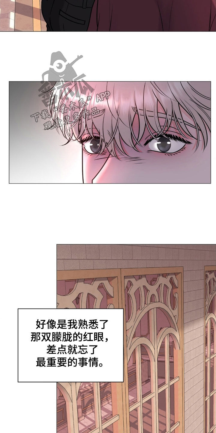 哪些商品属于特殊商品漫画,第20章：长胖1图