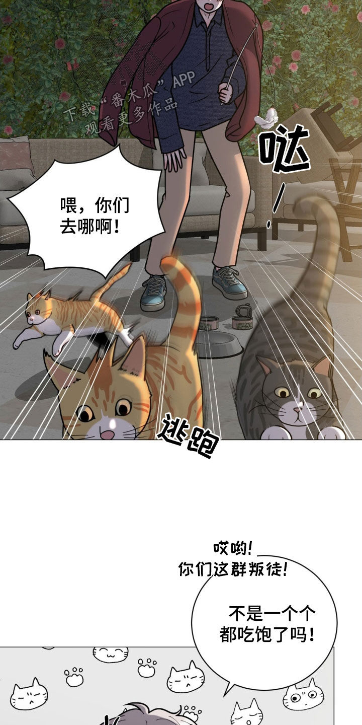 哪些商品属于特殊商品漫画,第21章：恻隐之心2图