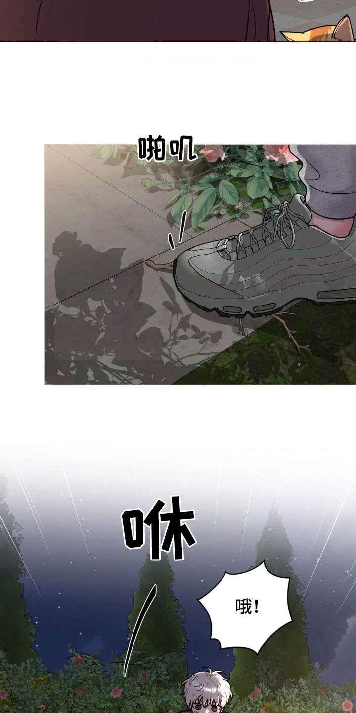 哪些商品属于特殊商品漫画,第21章：恻隐之心1图