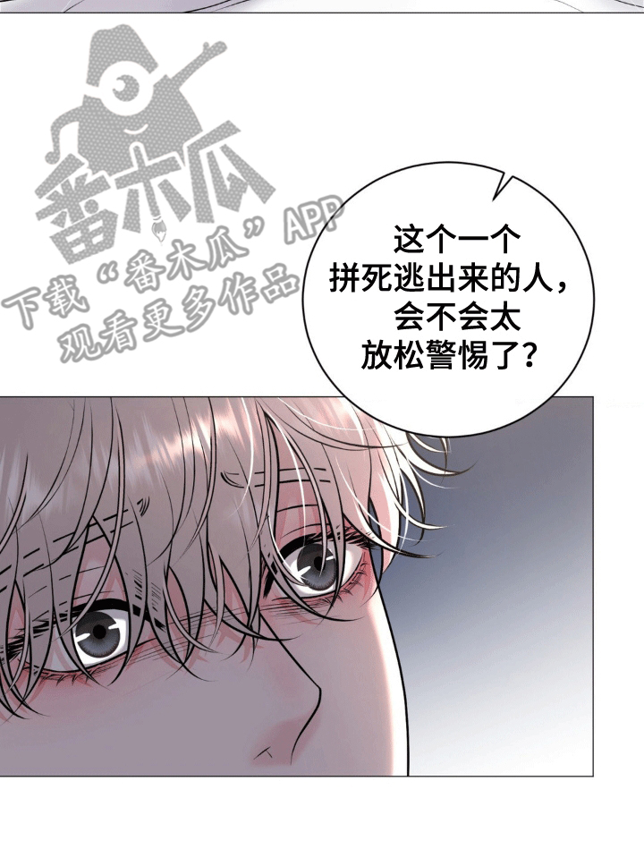 特殊商品漫画全集漫画,第4章：离开5图