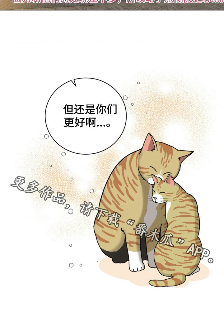 哪些商品属于特殊商品漫画,第21章：恻隐之心4图