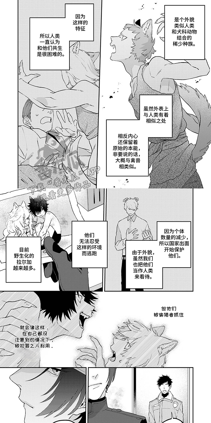 双色球走势图基本图漫画,第1章：完美的人2图