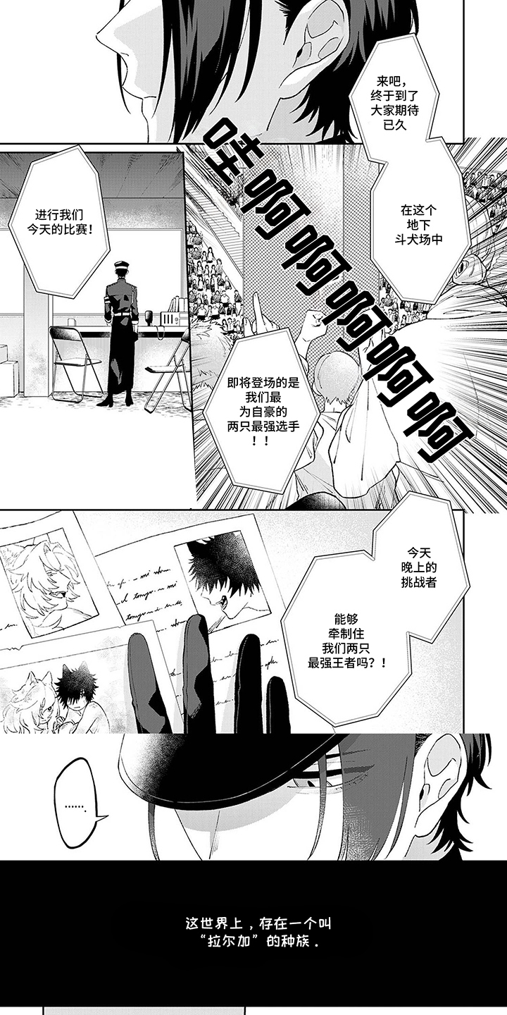 双色球走势图基本图漫画,第1章：完美的人1图