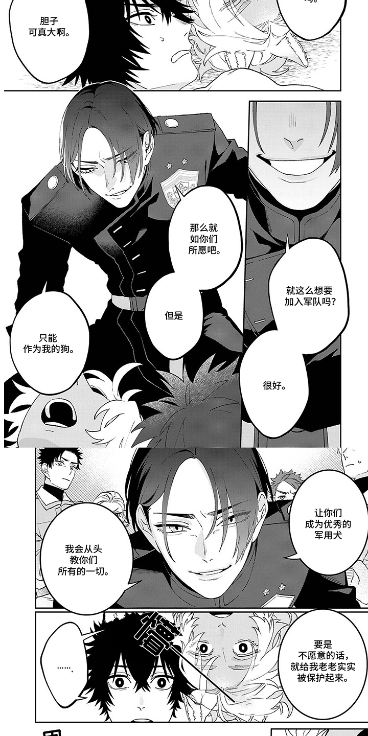 双泉乡天马村最新消息漫画,第3章：军用犬4图