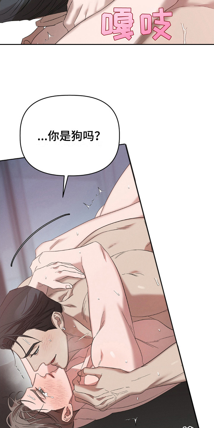 伪装与秘密漫画,第14章：无法适应3图