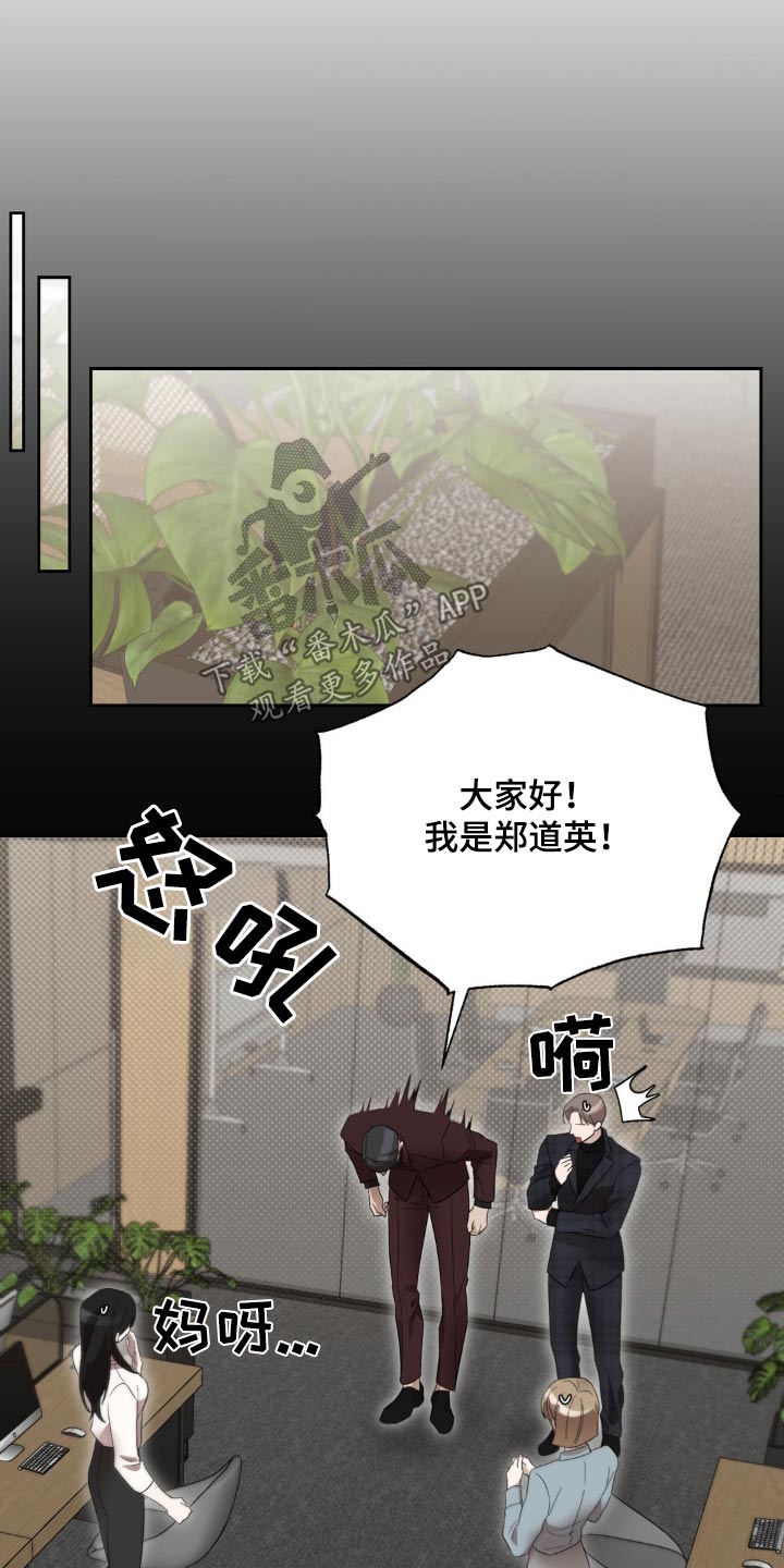 伪装与秘密漫画,第17章：介绍4图