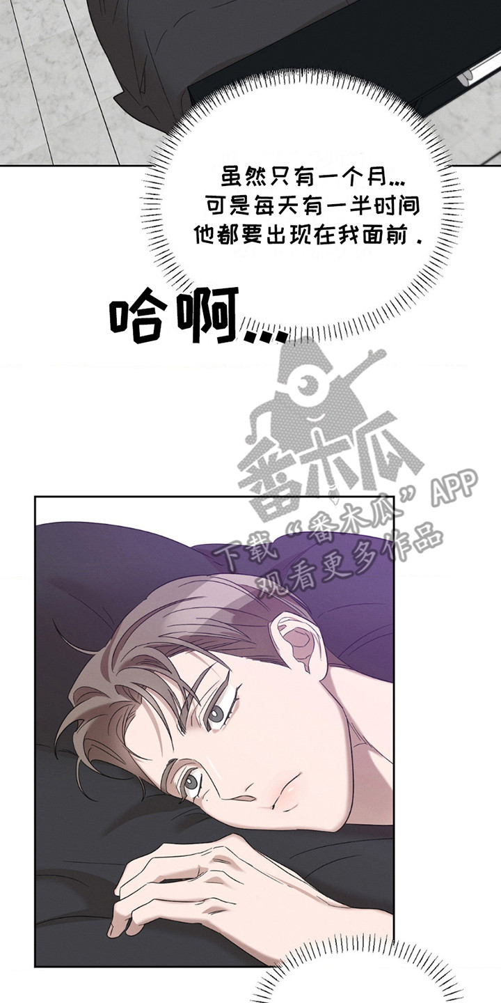 伪装与秘密漫画,第11章：好奇心5图