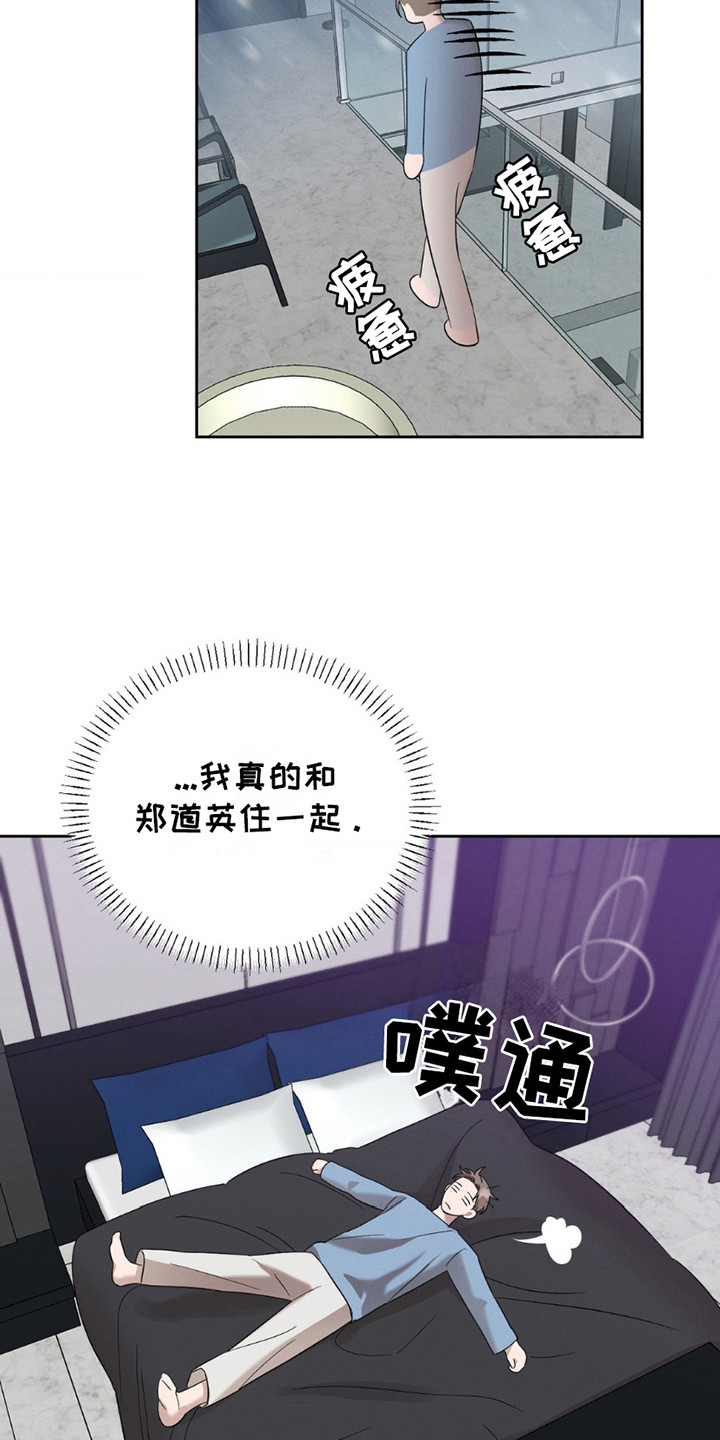 伪装与秘密漫画,第11章：好奇心4图