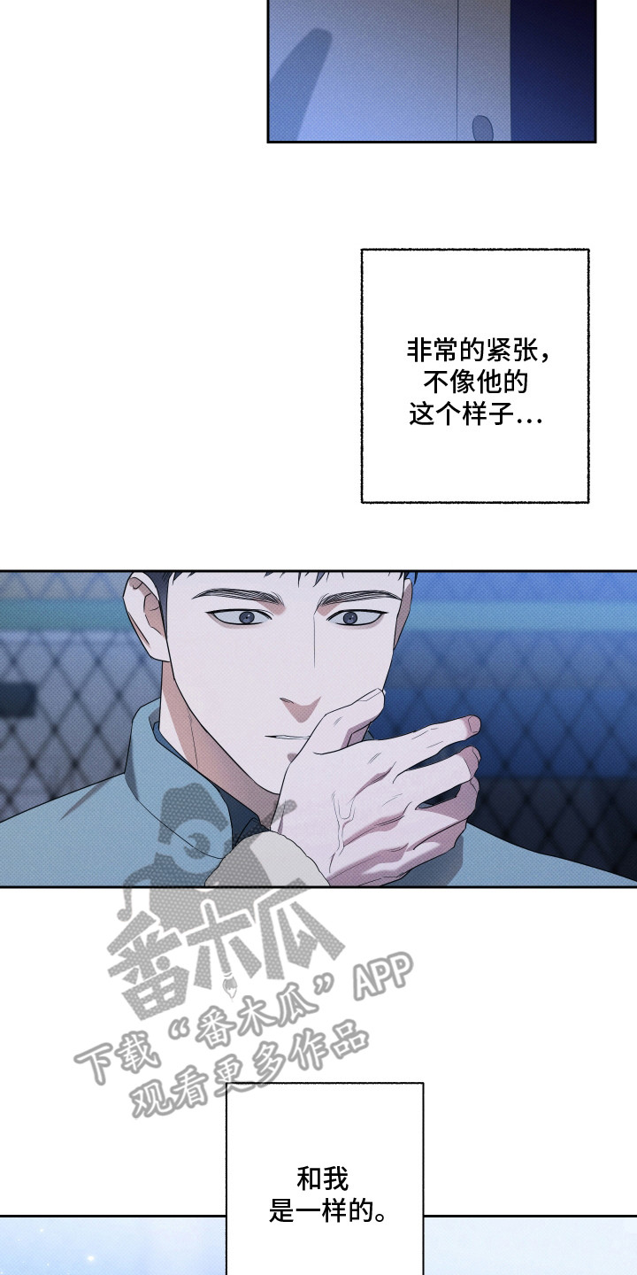 报恩的喜鹊漫画解说漫画,第19章：爱就够了（完结）2图