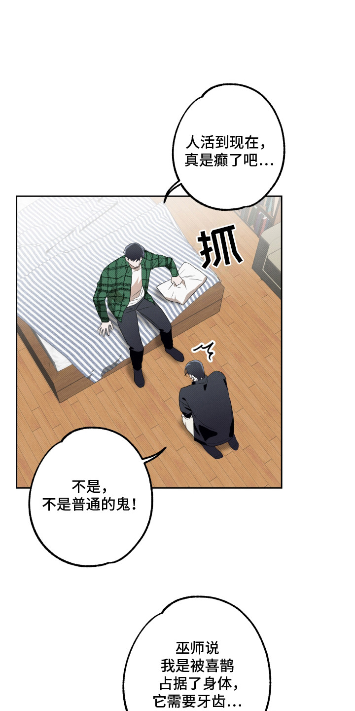 报恩的喜鹊漫画免费漫画,第4章：逞强1图