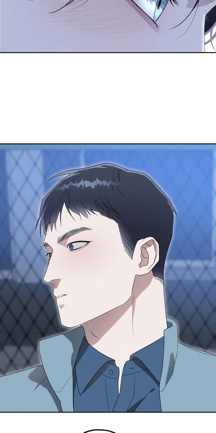 报恩的喜鹊漫画解说漫画,第19章：爱就够了（完结）4图