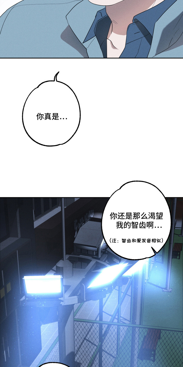 报恩的喜鹊漫画解说漫画,第19章：爱就够了（完结）1图