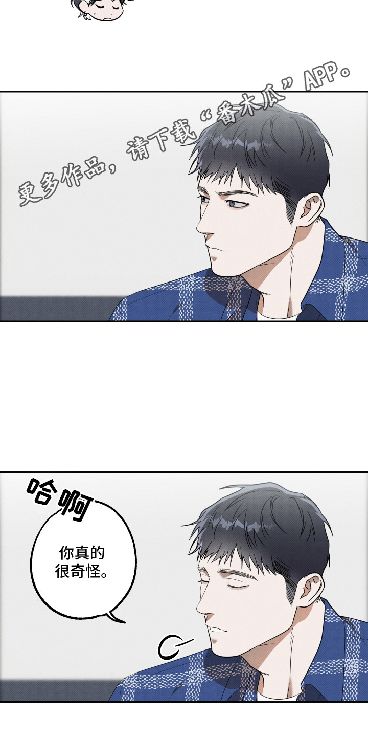 报恩的喜鹊免费漫画,第12章：很感谢1图