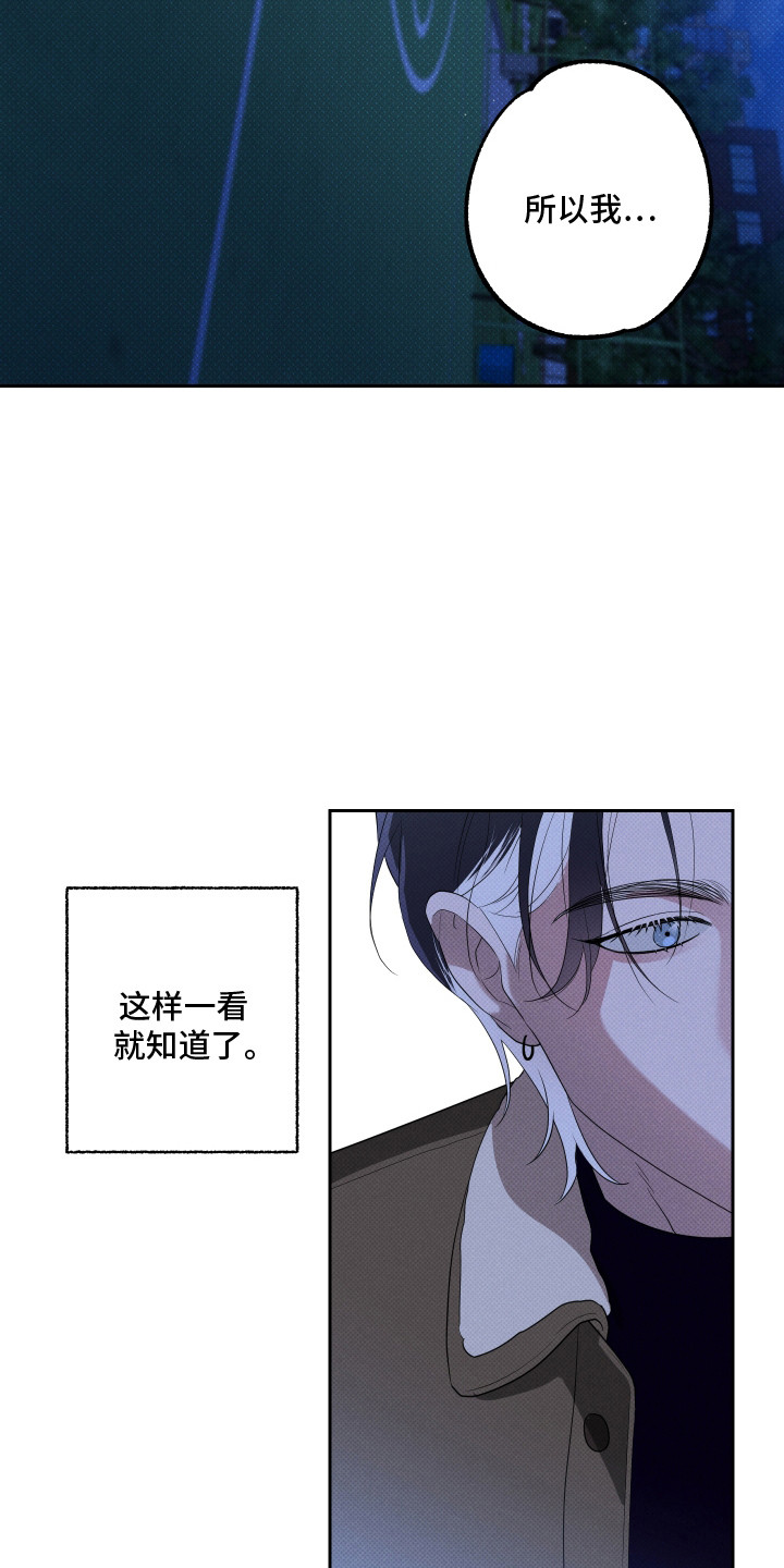 报恩的喜鹊漫画解说漫画,第19章：爱就够了（完结）1图