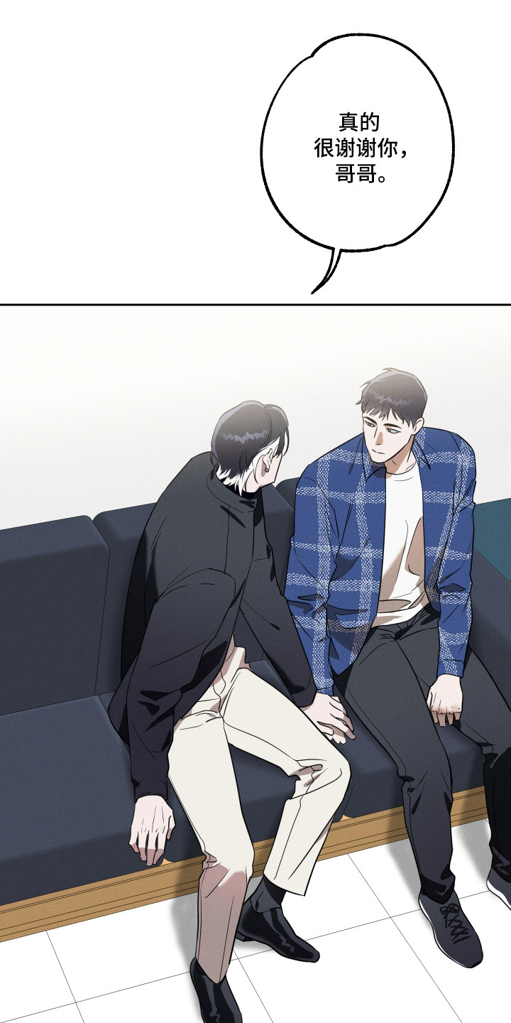 报恩的喜鹊免费漫画,第12章：很感谢4图