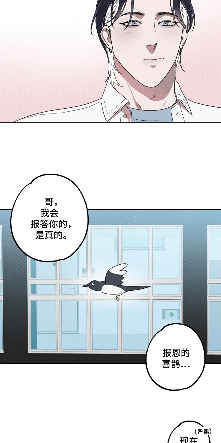 报恩的喜鹊穿针缝袜子漫画,第14章：最后期限5图