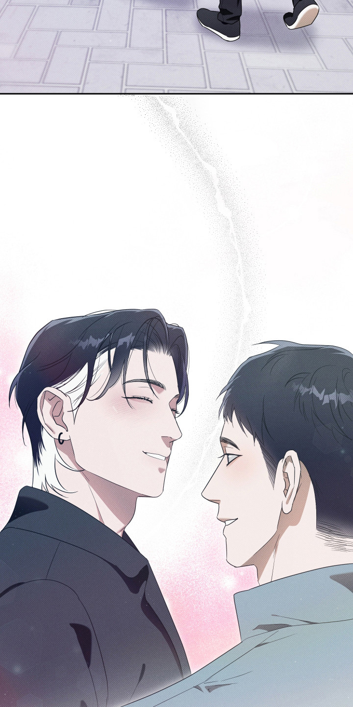 报恩的喜鹊漫画解说漫画,第19章：爱就够了（完结）2图