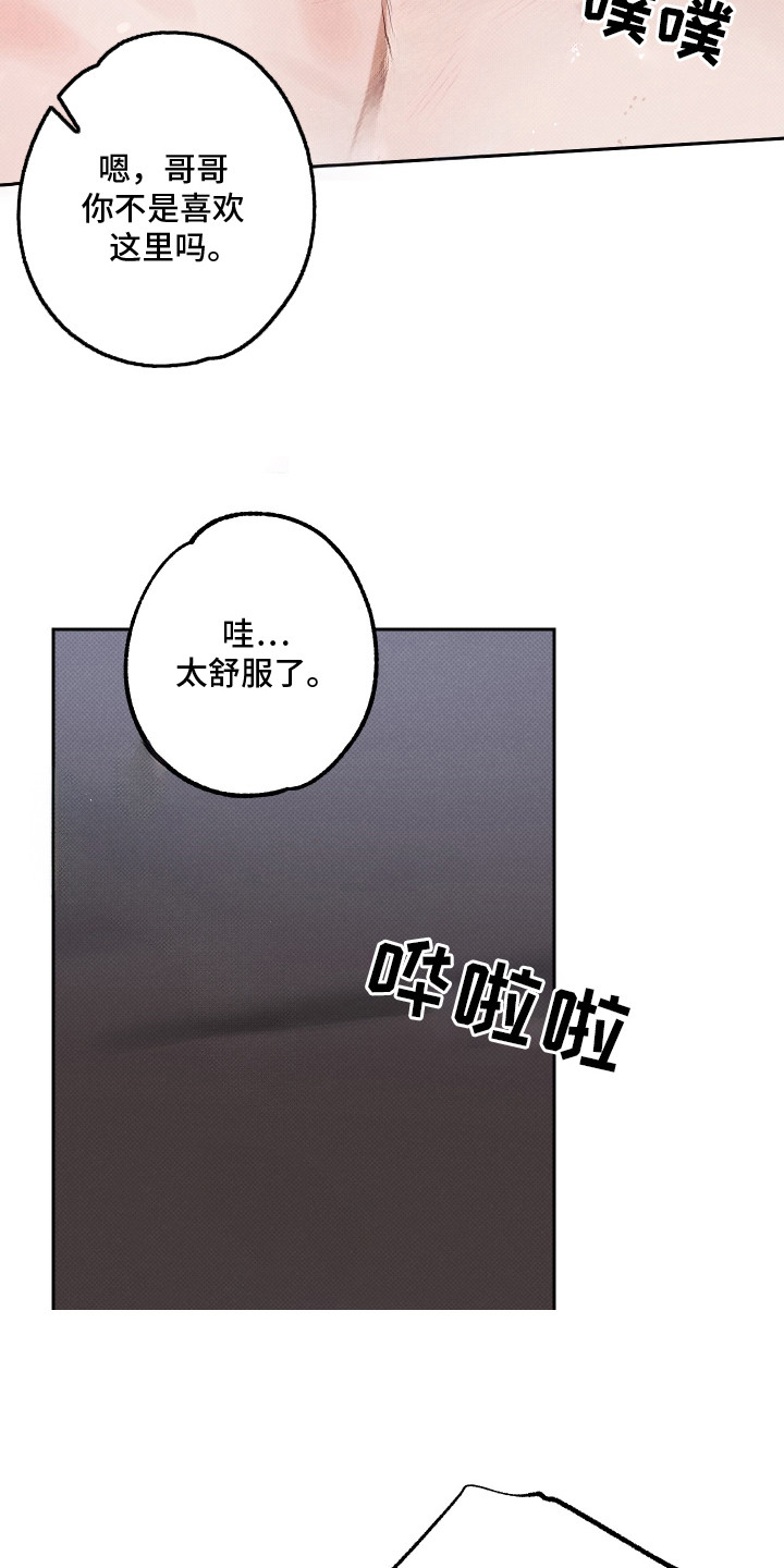 报恩的喜鹊小说免费阅读漫画,第16章：一片空白5图