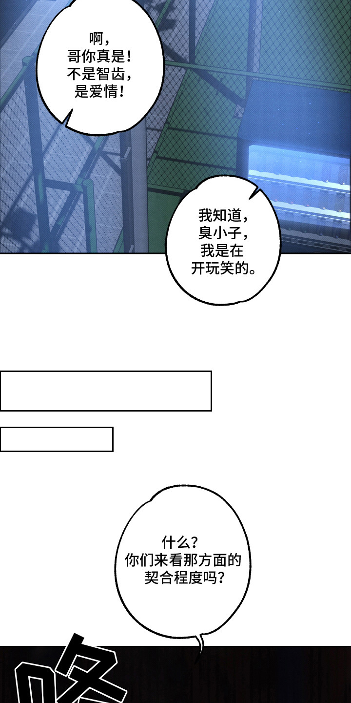 报恩的喜鹊漫画解说漫画,第19章：爱就够了（完结）2图