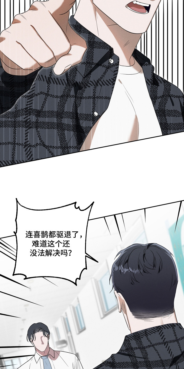报恩的喜鹊白道韩漫画,第14章：最后期限4图