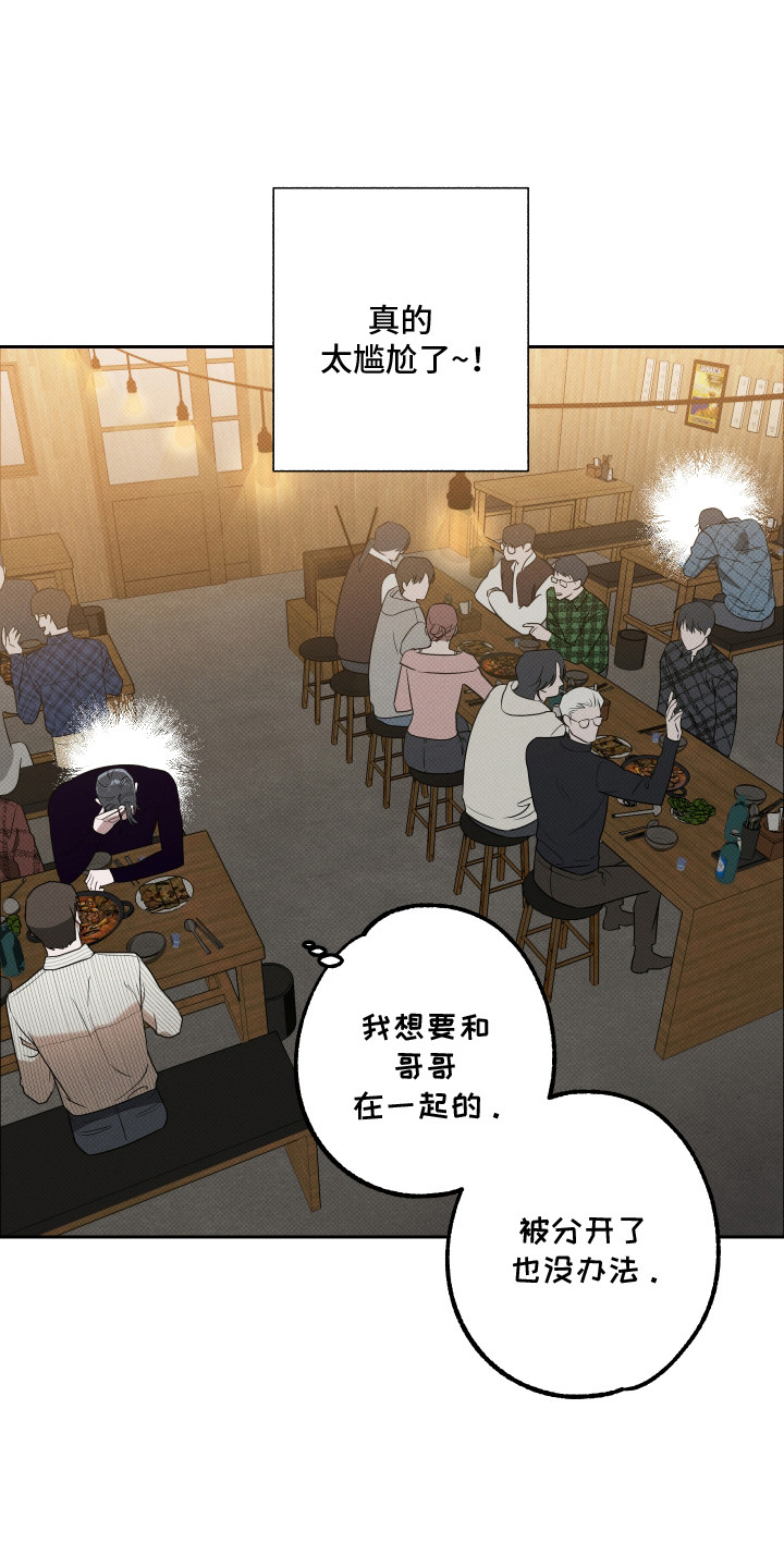 报恩的喜鹊免费漫画,第18章：整理思绪5图