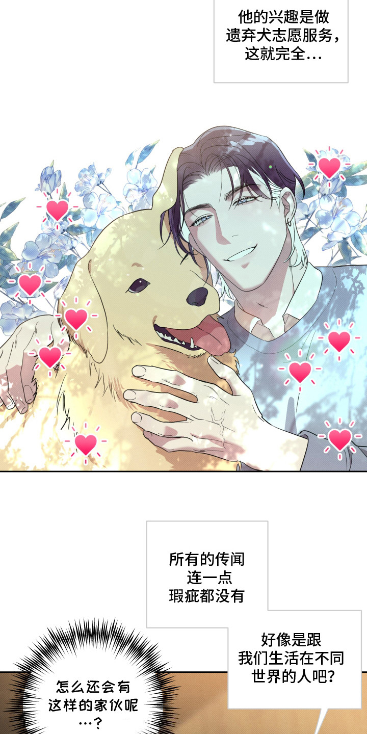 报恩的喜鹊小说免费阅读漫画,第2章：直觉5图