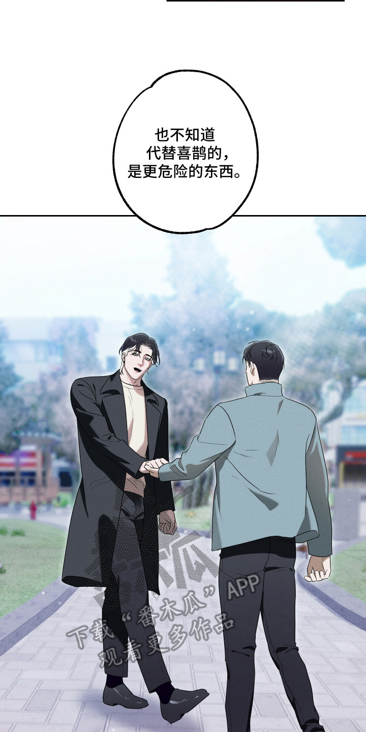 报恩的喜鹊漫画解说漫画,第19章：爱就够了（完结）1图