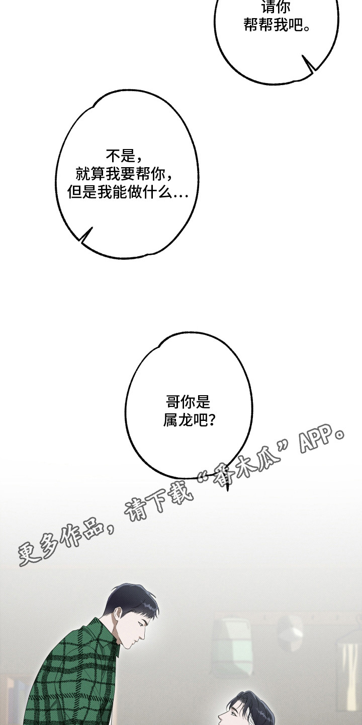 报恩的喜鹊漫画免费漫画,第4章：逞强5图