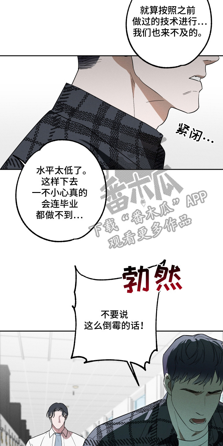 报恩的喜鹊小说免费阅读漫画,第13章：空虚感5图