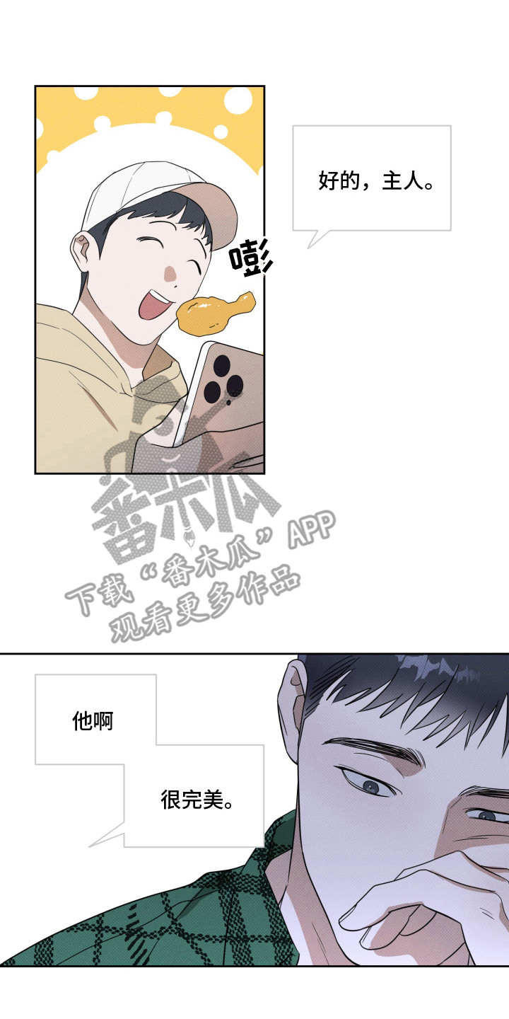 报恩的喜鹊小说免费阅读漫画,第2章：直觉3图