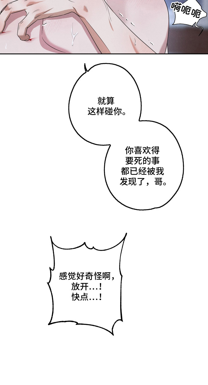 报恩的喜鹊的作者漫画,第16章：一片空白4图