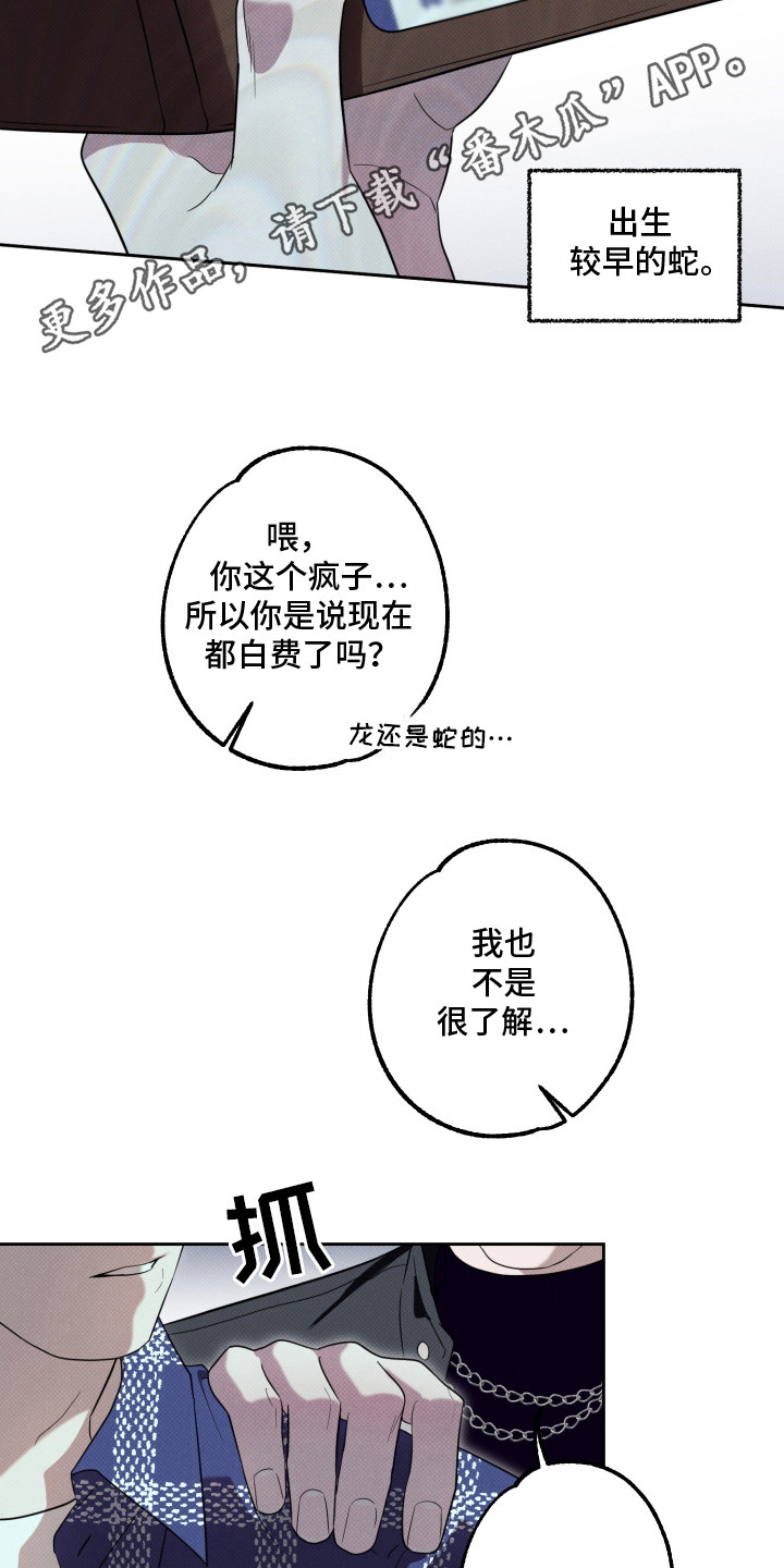 报恩的小黑蛇漫画,第9章：属相不对1图