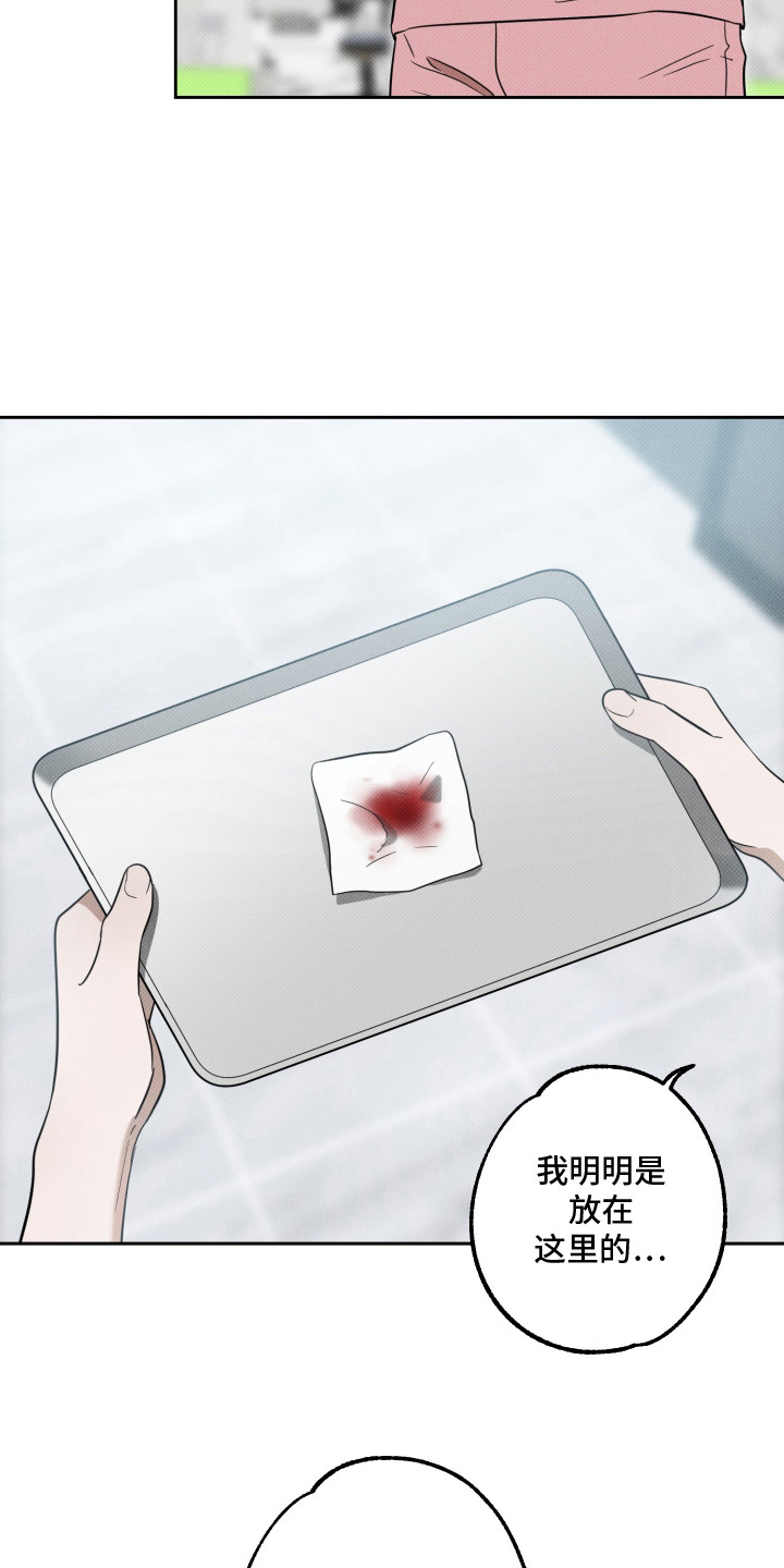 报恩的喜鹊车多吗漫画,第9章：属相不对4图