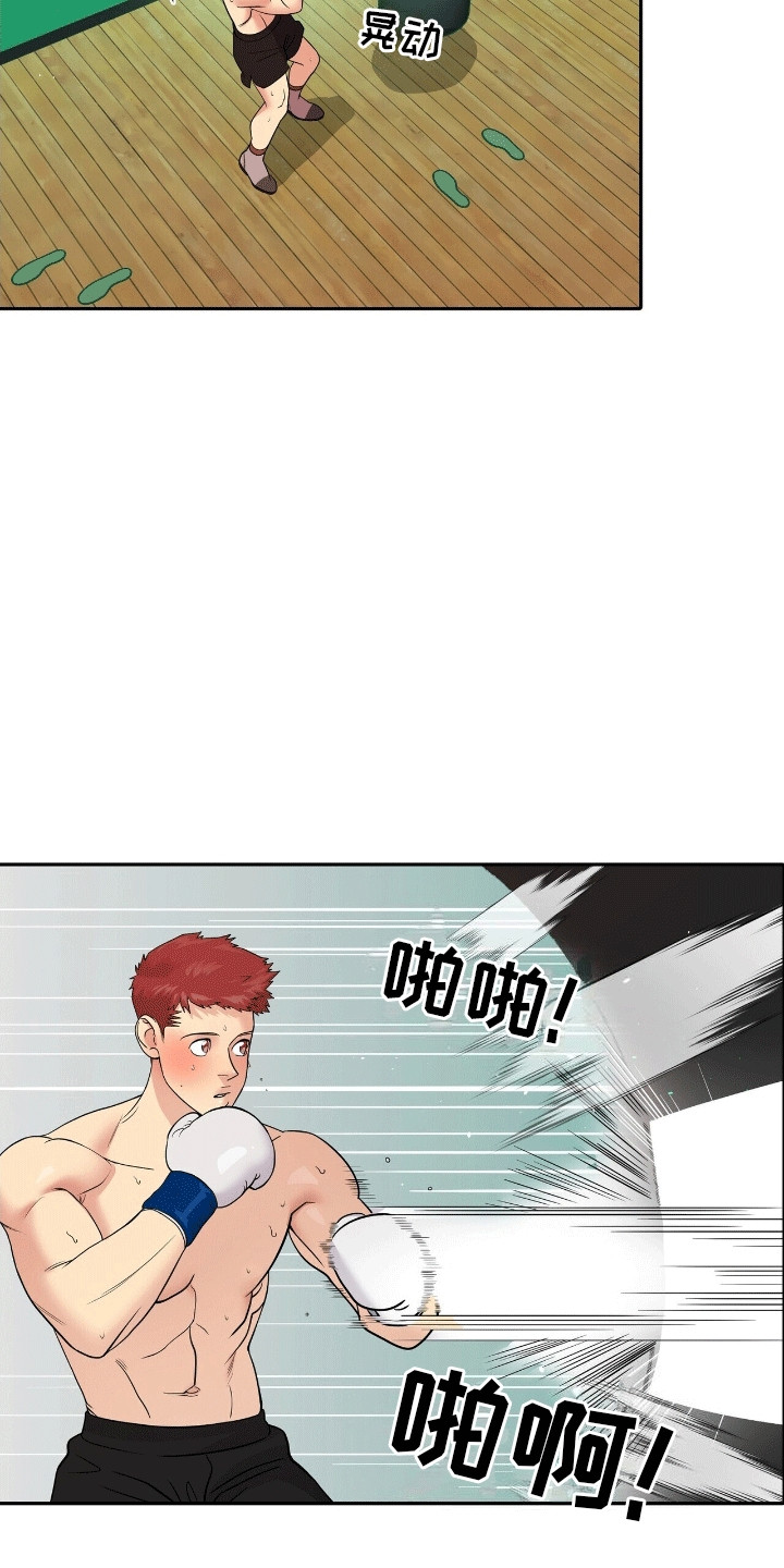 爱上搏击小将漫画,第13章：离开5图